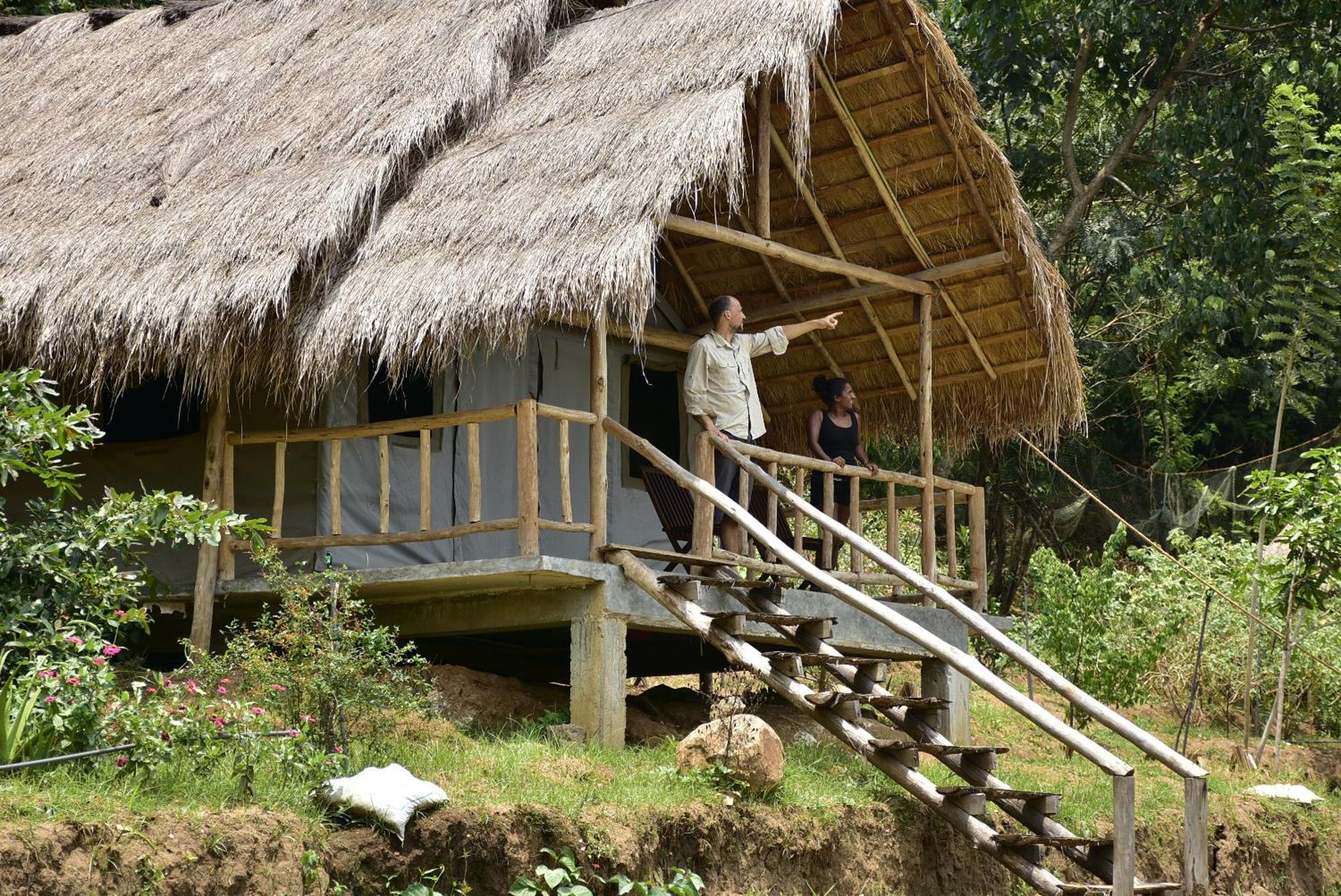 Ella Jungle Resort Экстерьер фото