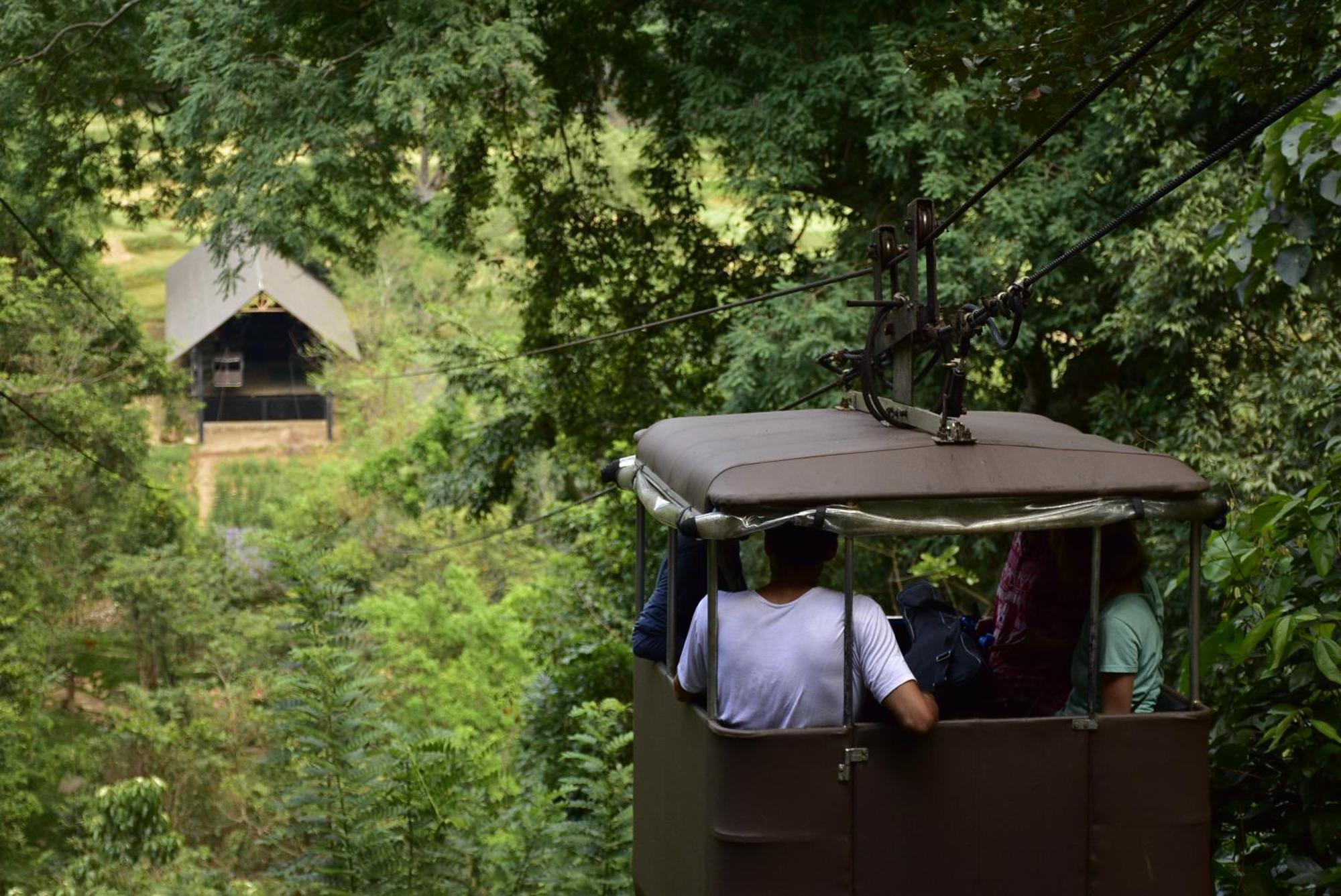 Ella Jungle Resort Экстерьер фото