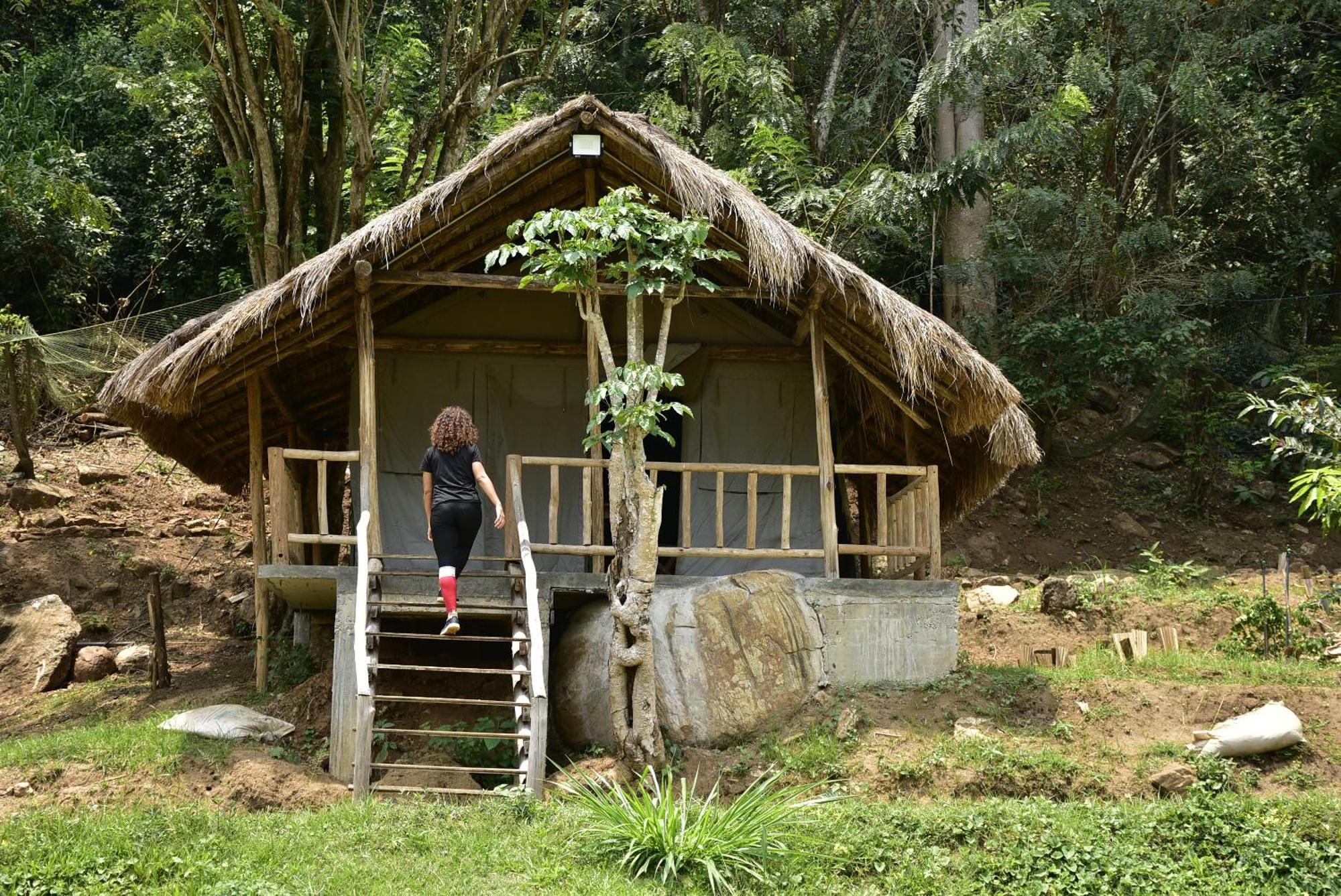 Ella Jungle Resort Экстерьер фото