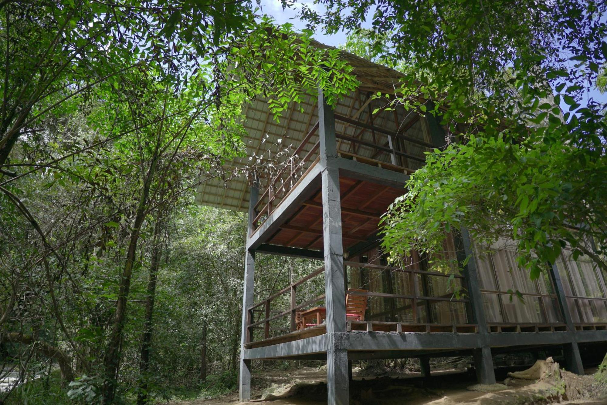 Ella Jungle Resort Экстерьер фото