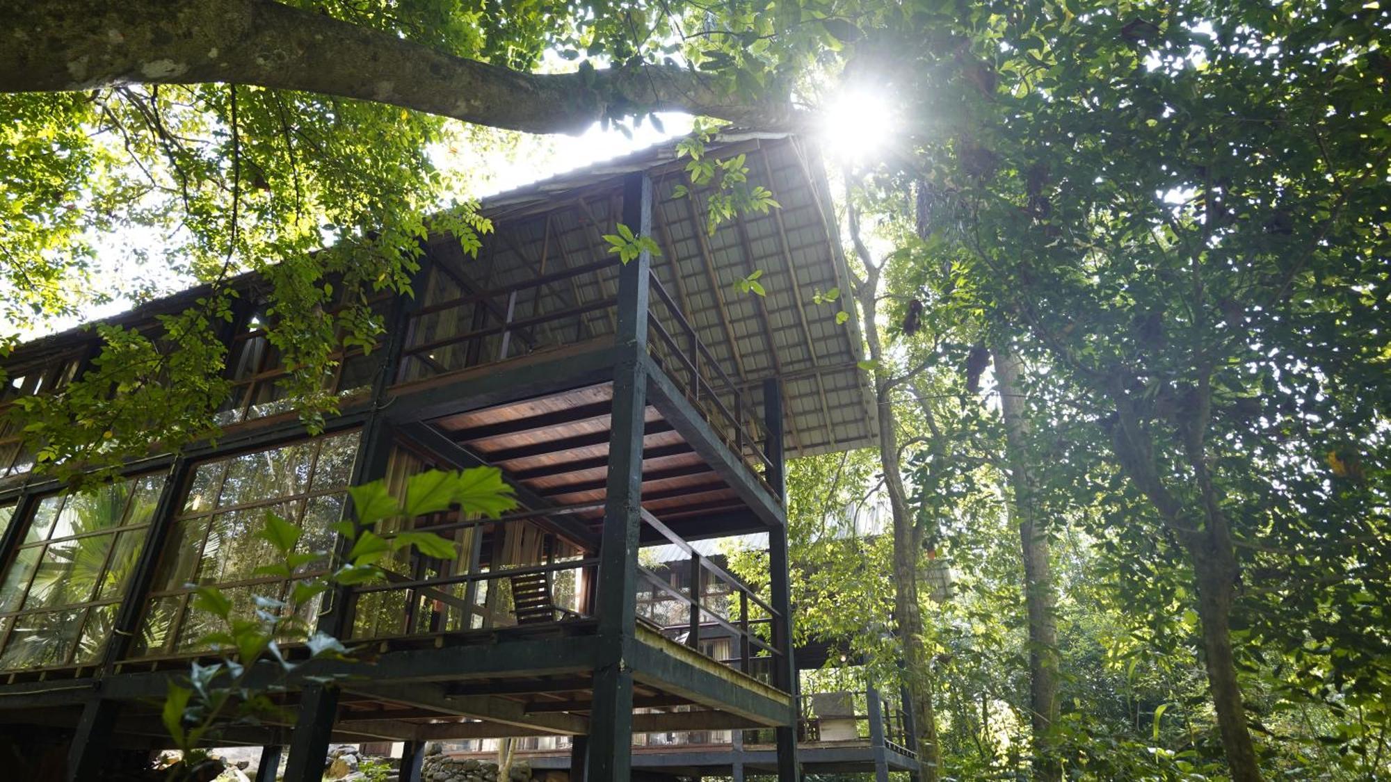 Ella Jungle Resort Экстерьер фото