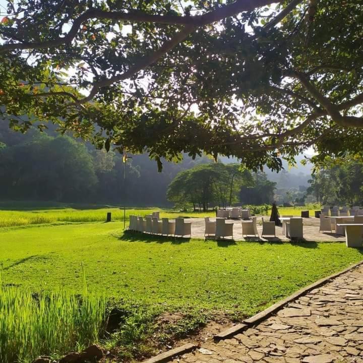 Ella Jungle Resort Экстерьер фото