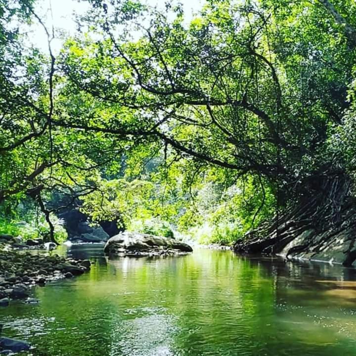 Ella Jungle Resort Экстерьер фото
