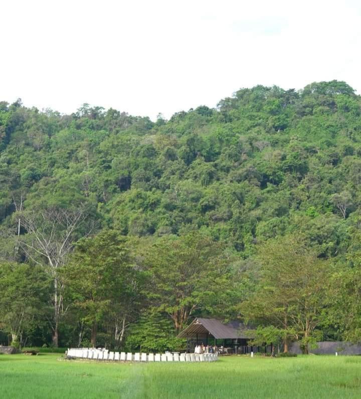 Ella Jungle Resort Экстерьер фото