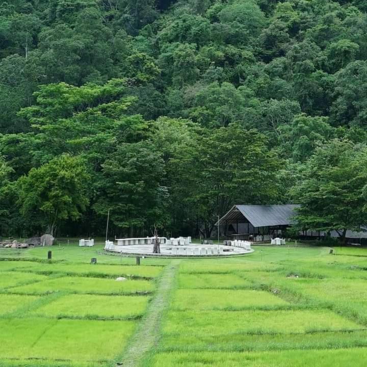 Ella Jungle Resort Экстерьер фото