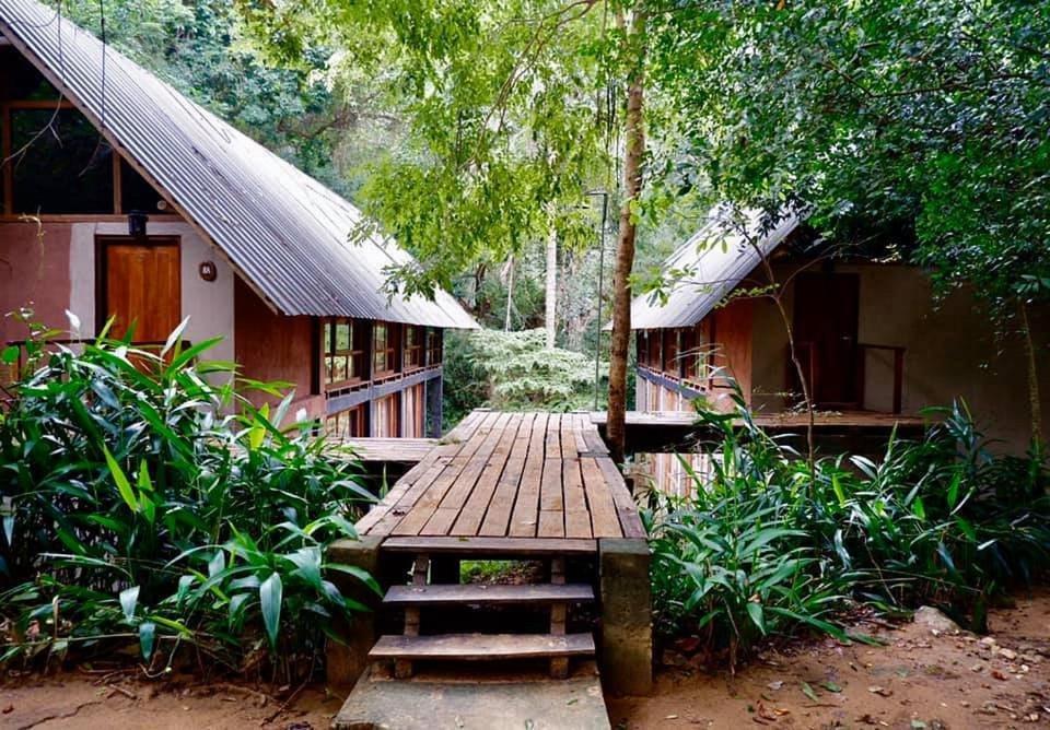 Ella Jungle Resort Номер фото