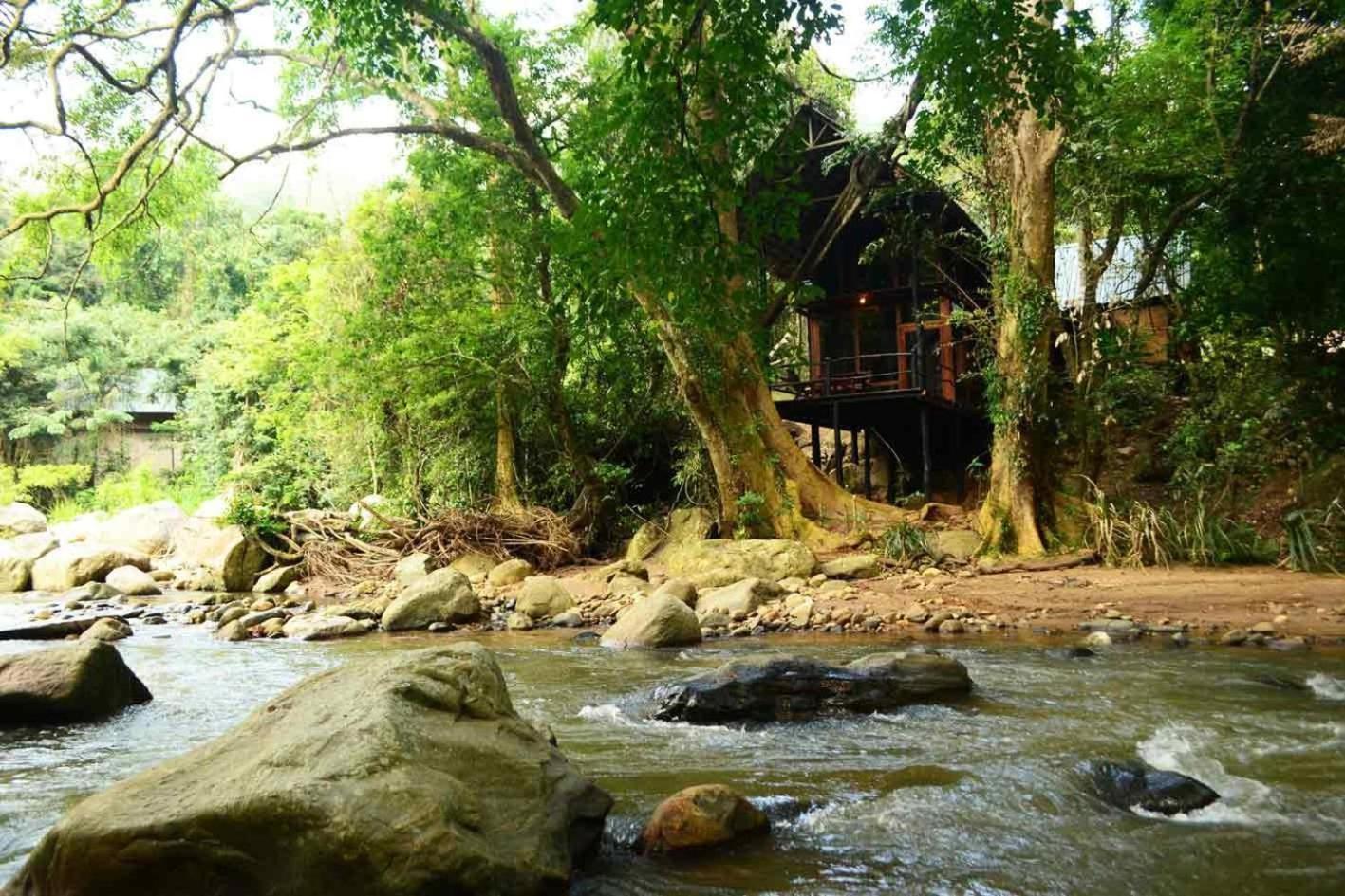 Ella Jungle Resort Номер фото