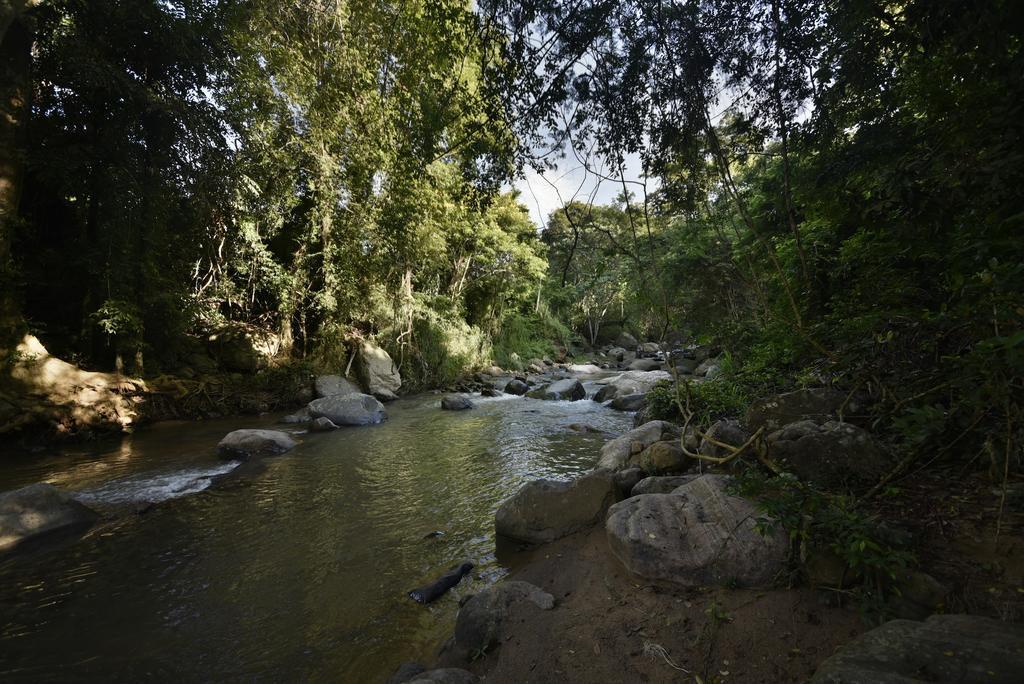Ella Jungle Resort Экстерьер фото