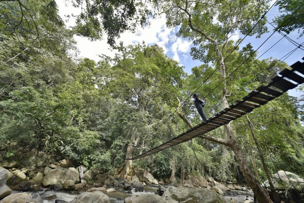 Ella Jungle Resort Экстерьер фото