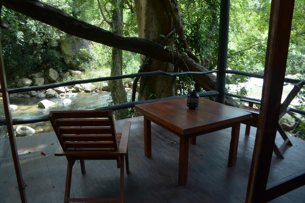 Ella Jungle Resort Экстерьер фото